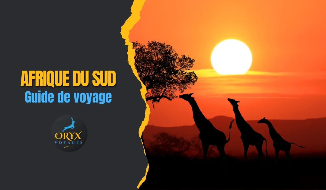 Afrique du Sud: Guide Complet sur les Formalités de Visa et le voyage